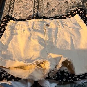 Women's Cream Distressed Shorts